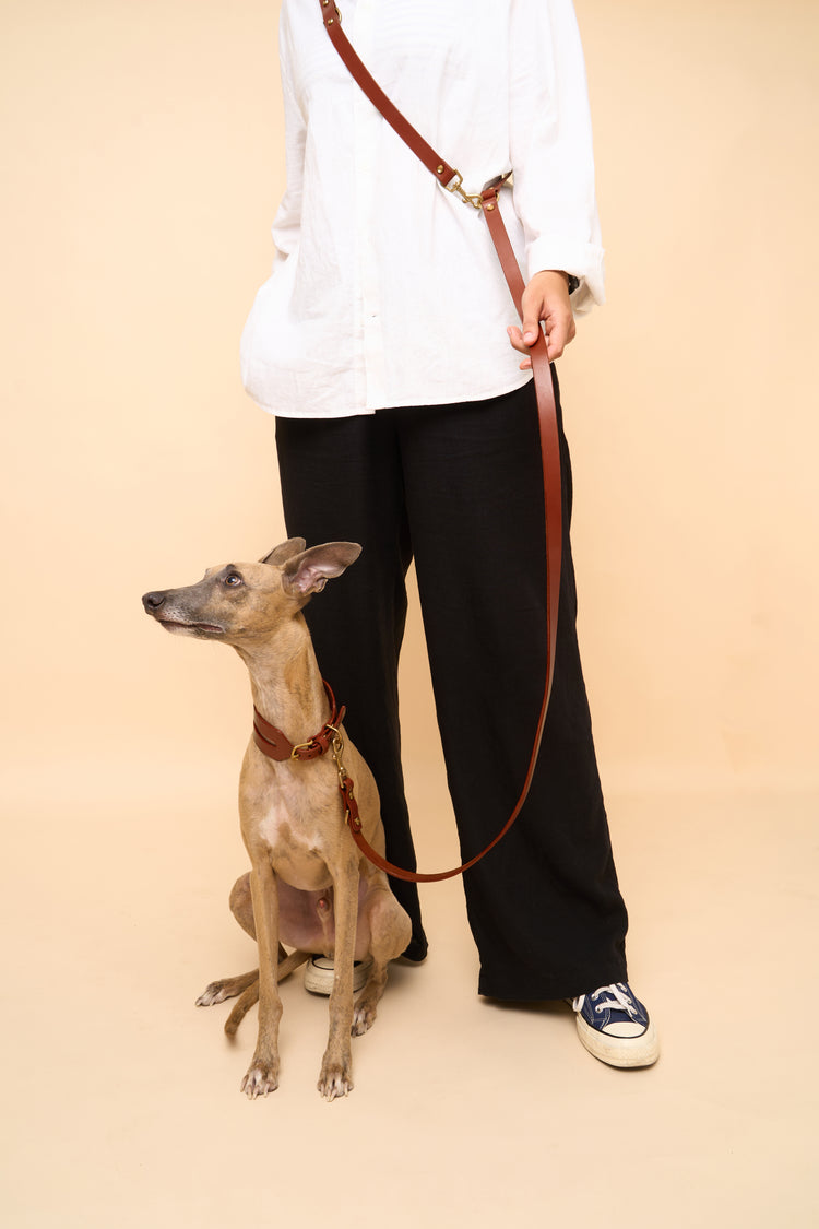 Wide Brown Leather Dog Collar and Hands-Free Leash Set - Aeris