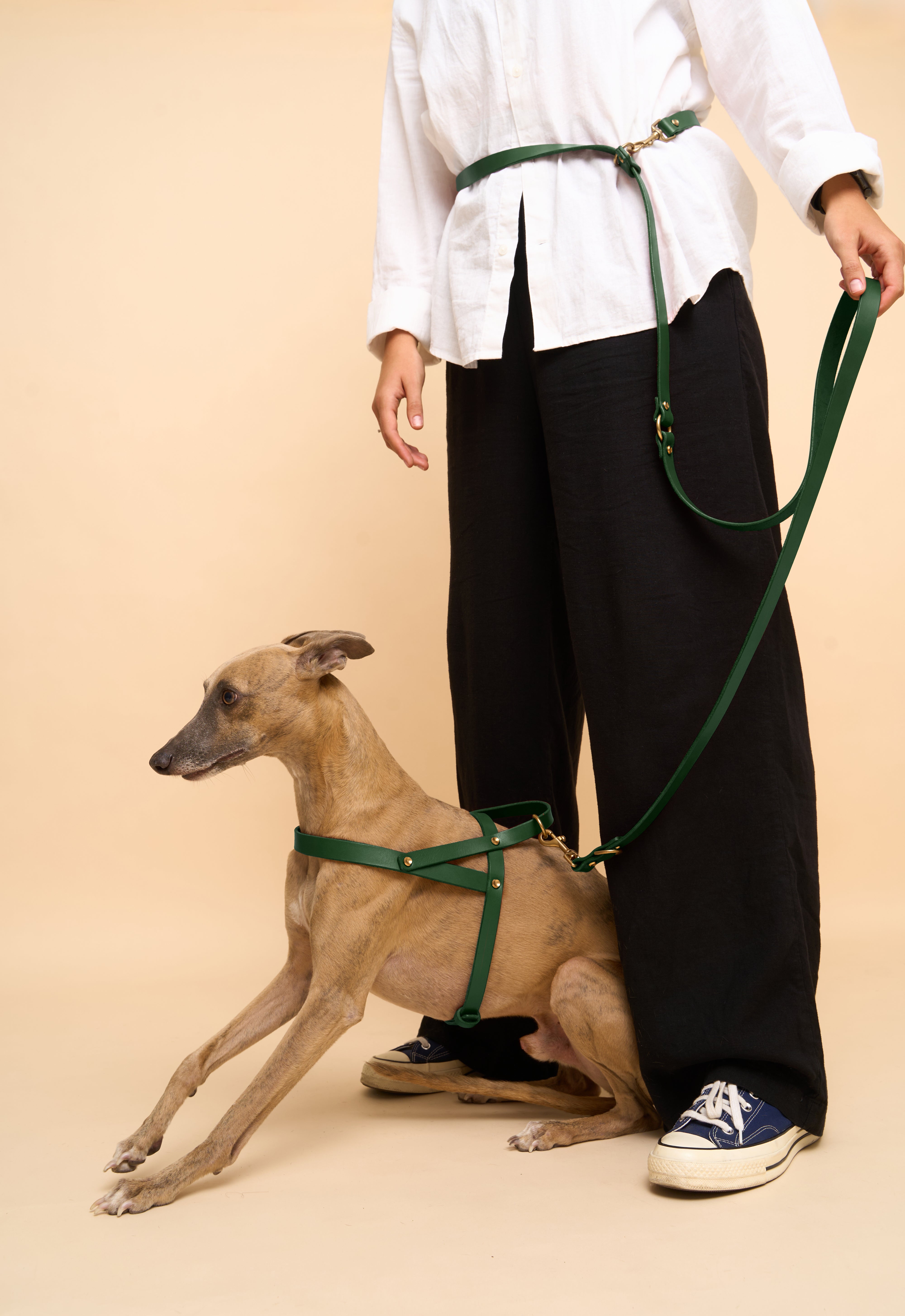 Vero Wide Collar & Omni Leash & Vero Harness in Green