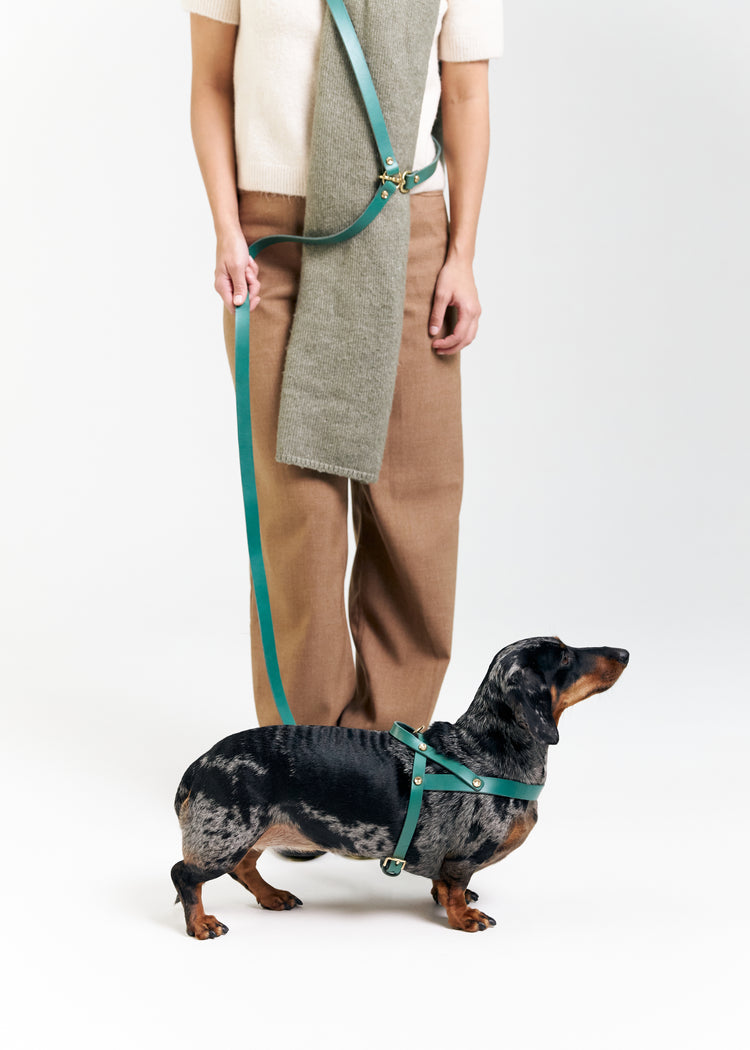 Green Leather Dog Collar, Hands-Free Leash and Harness Set - Aeris Classic