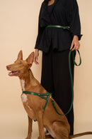 Vero Green Harness with Omni Hands-Free Leash, made from durable Italian leather for a secure and hands-free walking experience