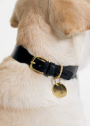 Pebble Brass Dog Nametag 