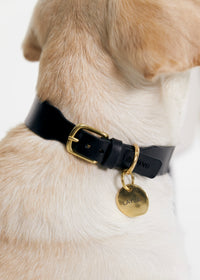 Pebble Brass Dog Nametag 
