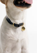 Pebble Brass Dog Nametag 