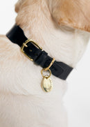 Pebble Brass Dog Nametag 