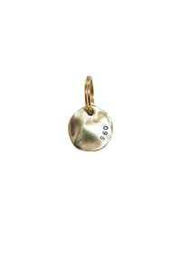 Pebble Brass Dog Nametag 