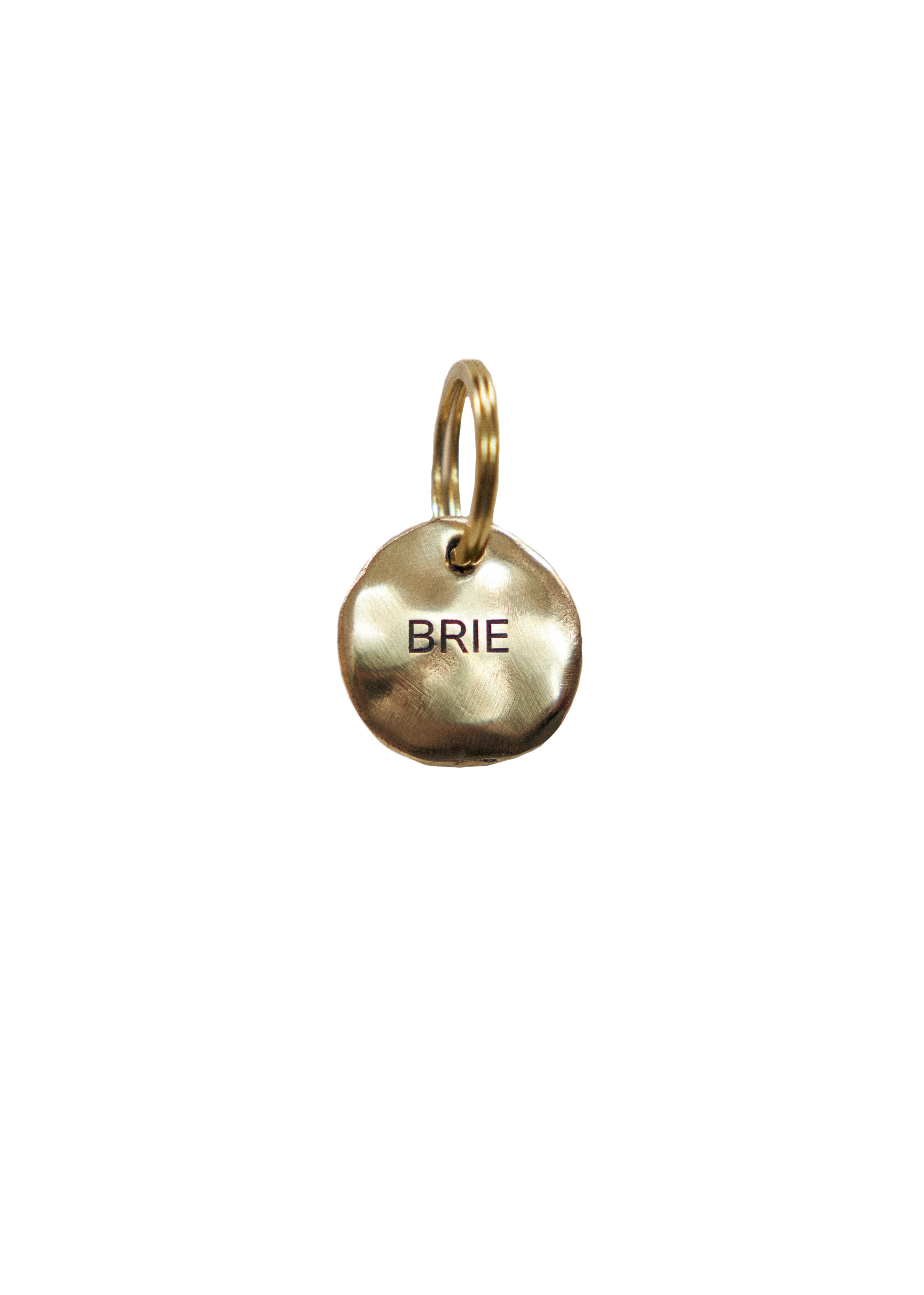 Pebble Dog Name Tag