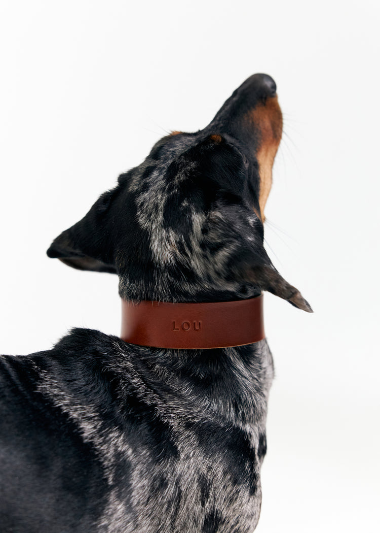 Brown Leather Dog Collar - Vero Classic