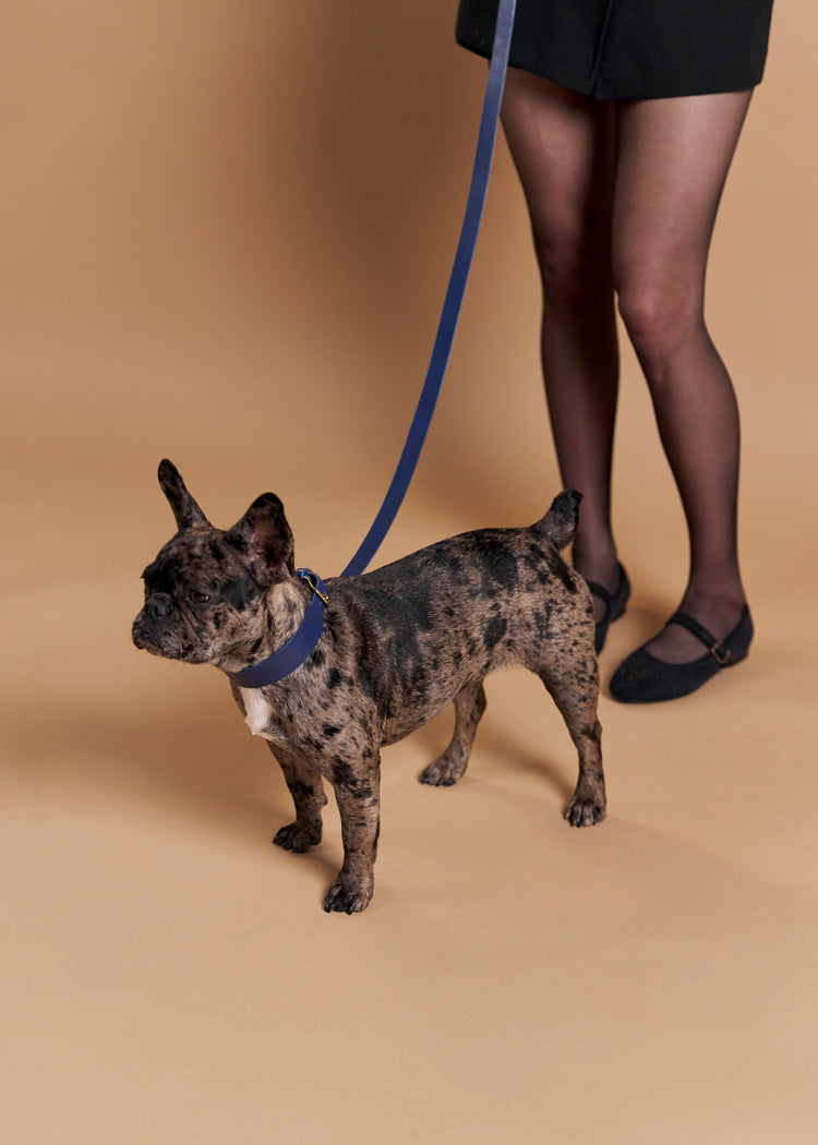 Blue Leather Dog Collar and Leash Set - Vero Classic
