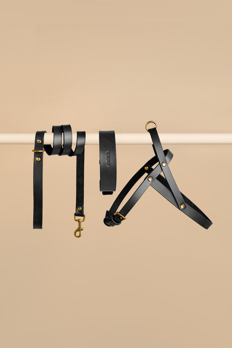 Black Leather Dog Collar, Leash and Harness Set - Vero Classic