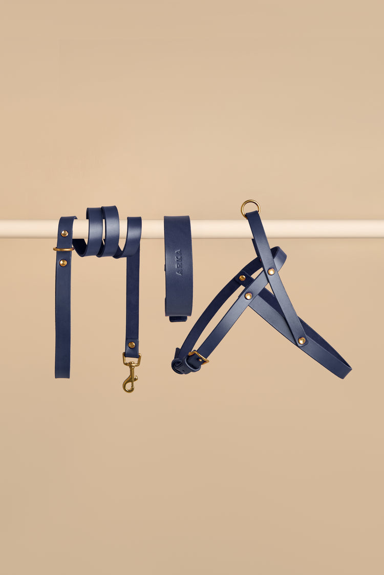 Blue Leather Dog Collar, Leash and Harness Set - Vero Classic