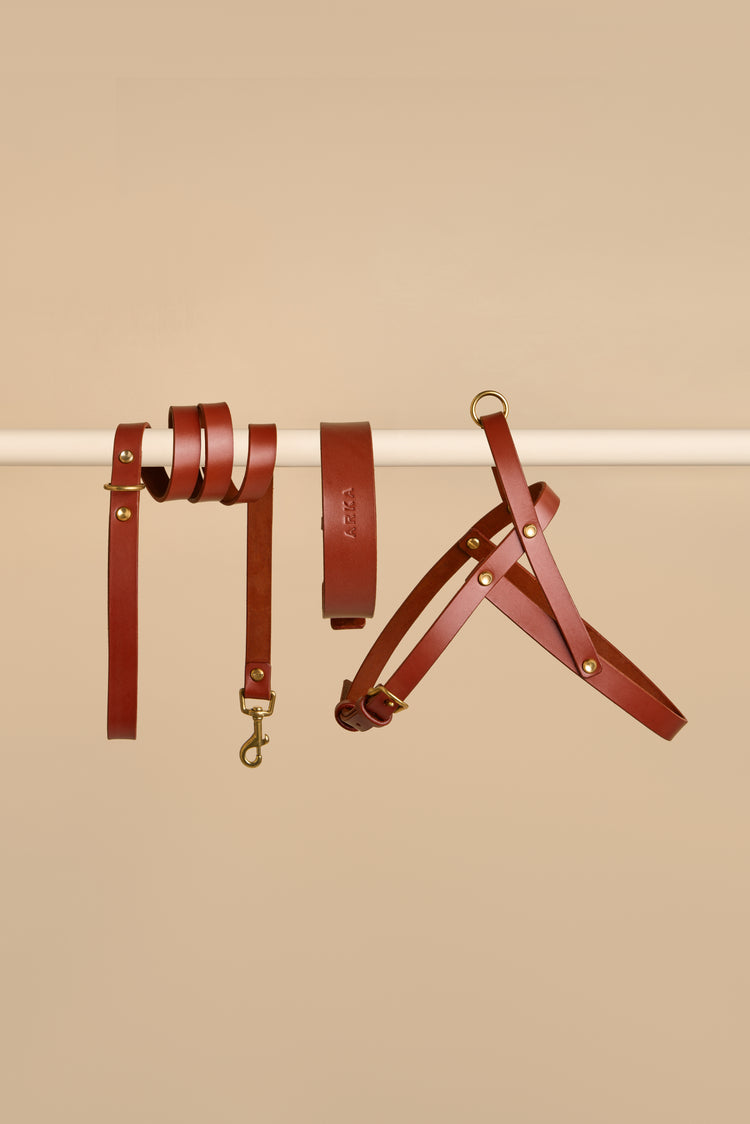 Brown Leather Dog Collar, Leash and Harness Set - Vero Classic