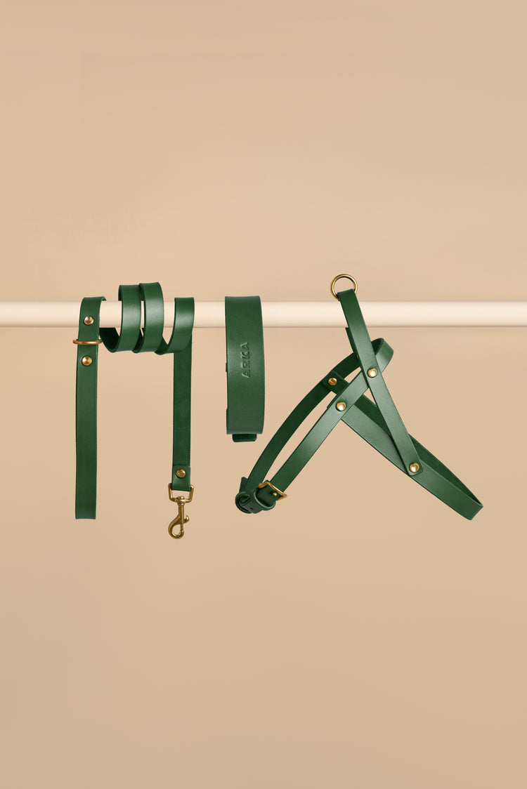 Green Leather Dog Collar, Leash and Harness Set - Vero Classic