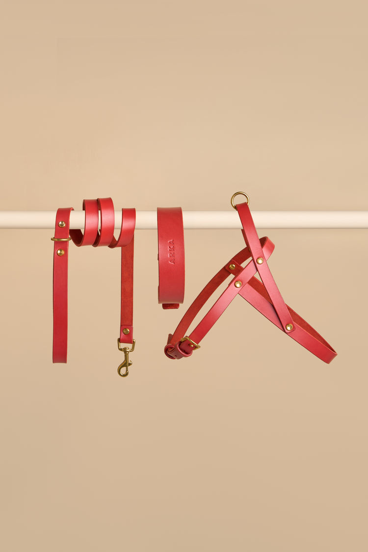Red Leather Dog Collar, Leash and Harness Set - Vero Classic