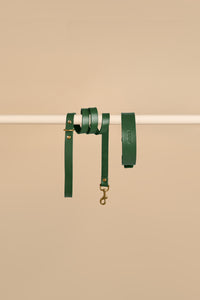 Vero Classic Green Leather Dog Collar and Leash Green Leather Dog Walk Kit featuring high-quality Italian leather and adjustable brass fittings, providing a stylish and robust accessory