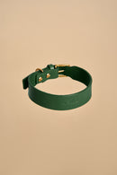 Vero Classic Green Leather Dog Collar crafted from high-quality Italian leather with sturdy brass fittings, offering a classic and elegant design.