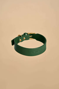 Vero Classic Green Leather Dog Collar crafted from high-quality Italian leather with sturdy brass fittings, offering a classic and elegant design.