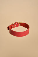 Vero Classic Red Leather Dog Collar made from luxurious Italian leather with adjustable brass hardware, combining style and durability.