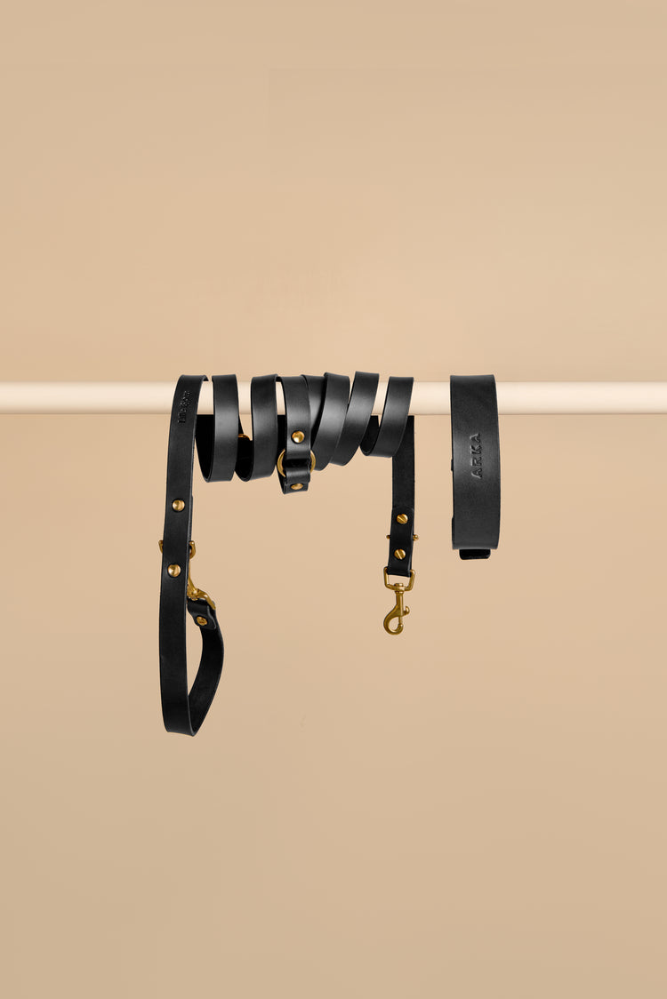 Black Leather Dog Collar and Hands-Free Leash Set - Vero Classic