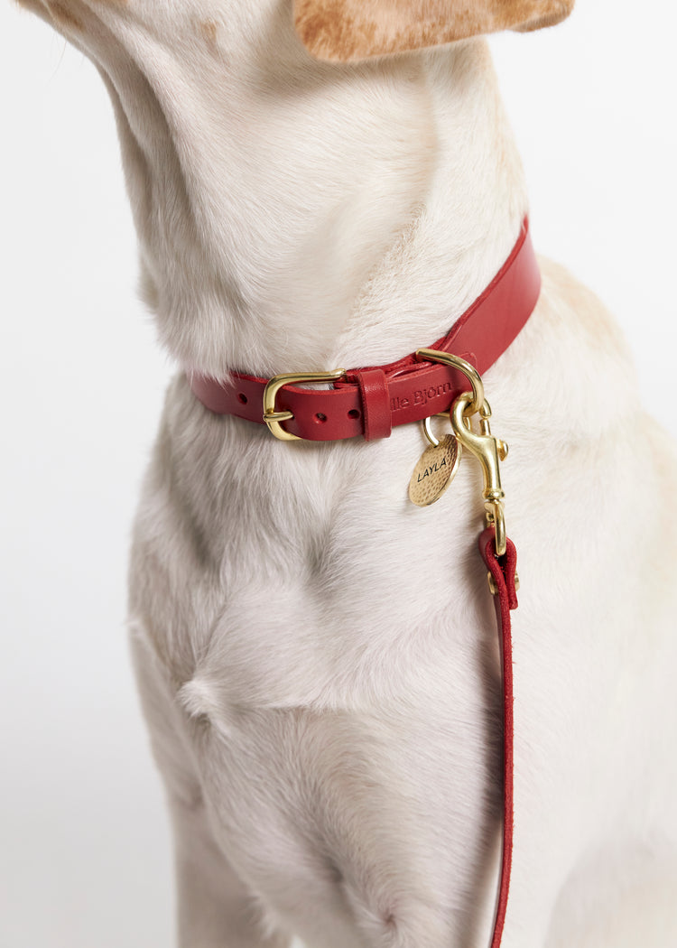 Red Leather Dog Collar and Hands-Free Leash Set - Vero Classic