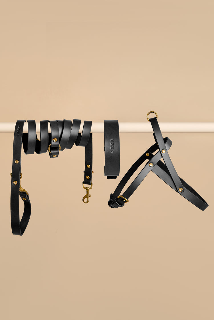 Black Leather Dog Collar, Hands-Free Leash and Harness Set - Vero Classic
