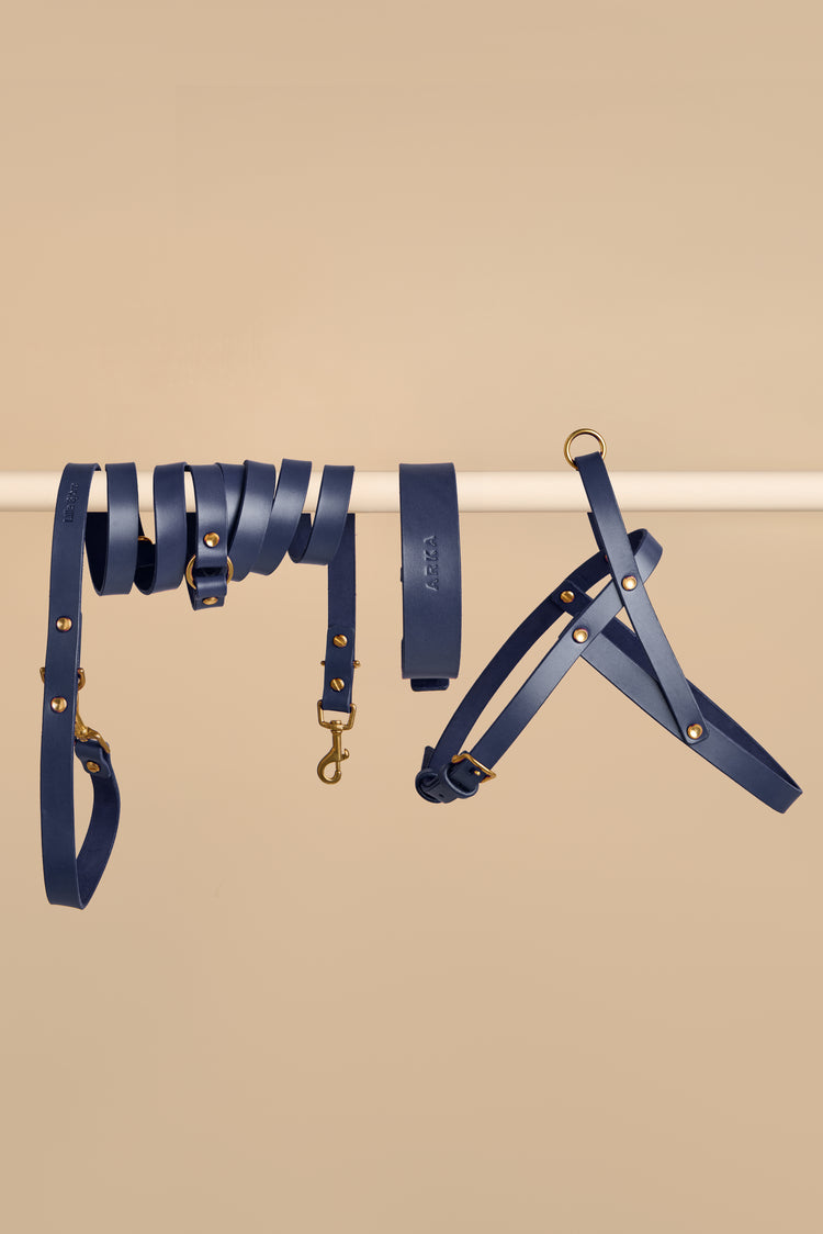 Blue Leather Dog Collar, Hands-Free Leash and Harness Set - Vero Classic
