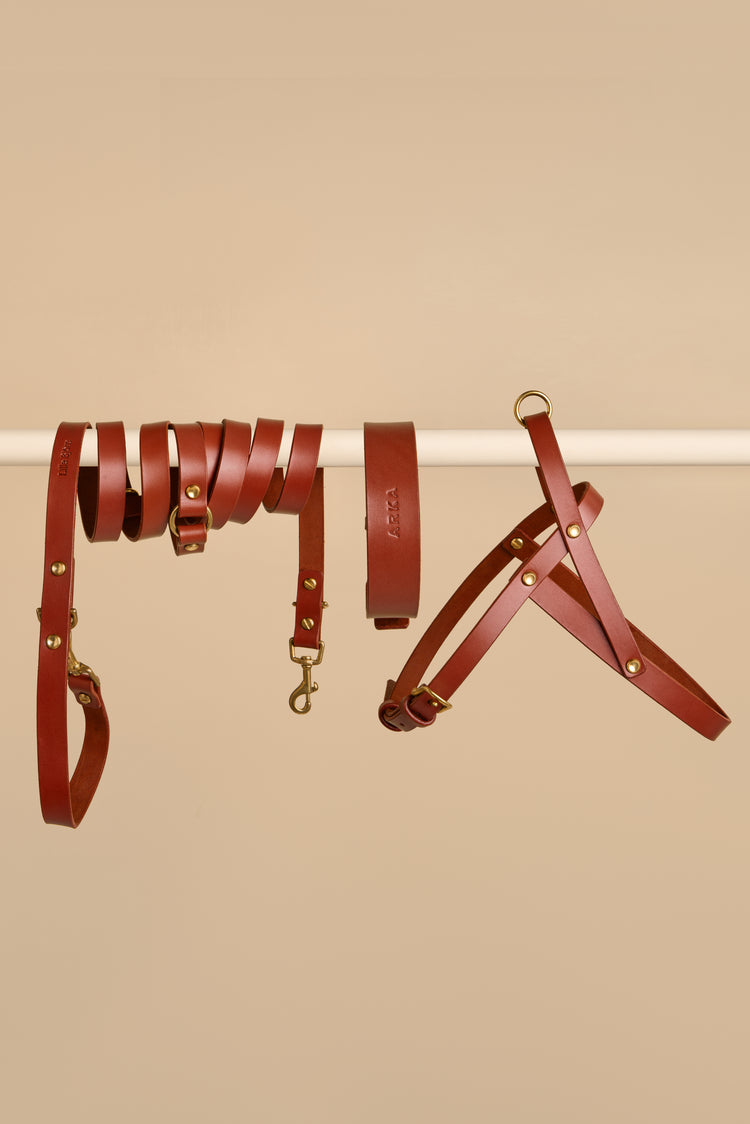 Brown Leather Dog Collar, Hands-Free Leash and Harness Set - Vero Classic