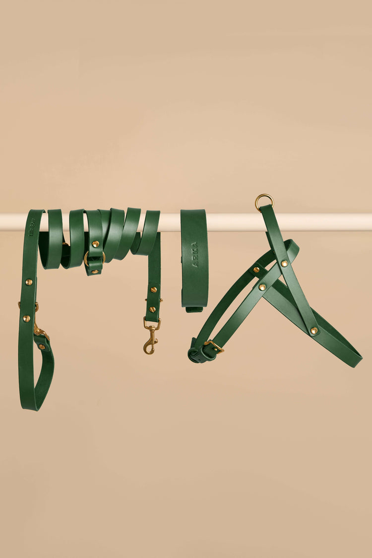 Green Leather Dog Collar, Hands-Free Leash and Harness Set - Vero Classic