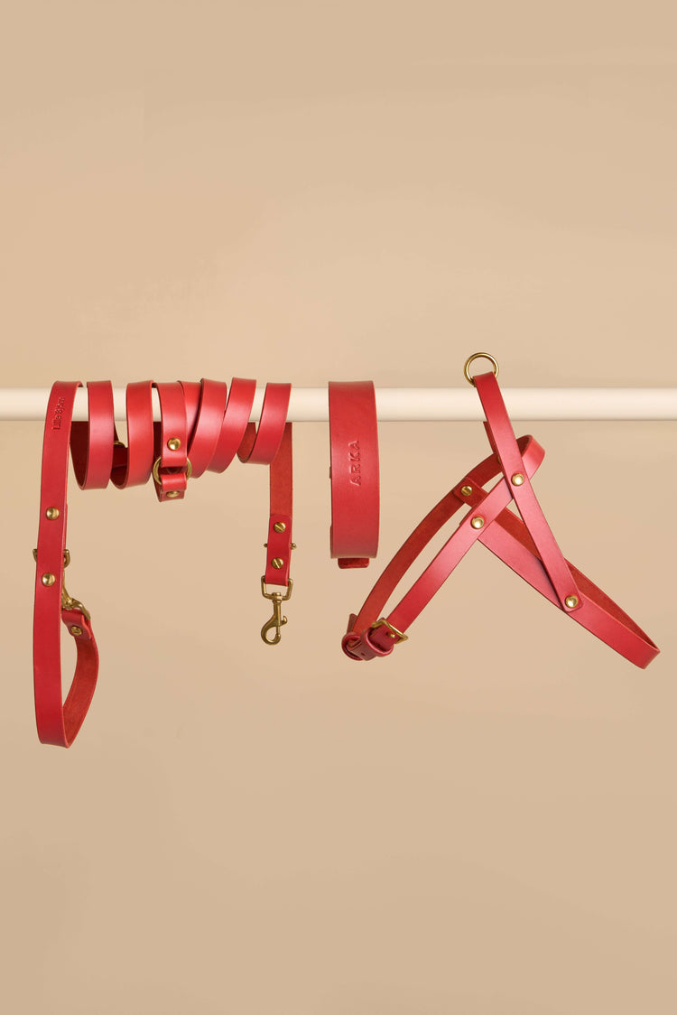 Red Leather Dog Collar, Hands-Free Leash and Harness Set - Vero Classic