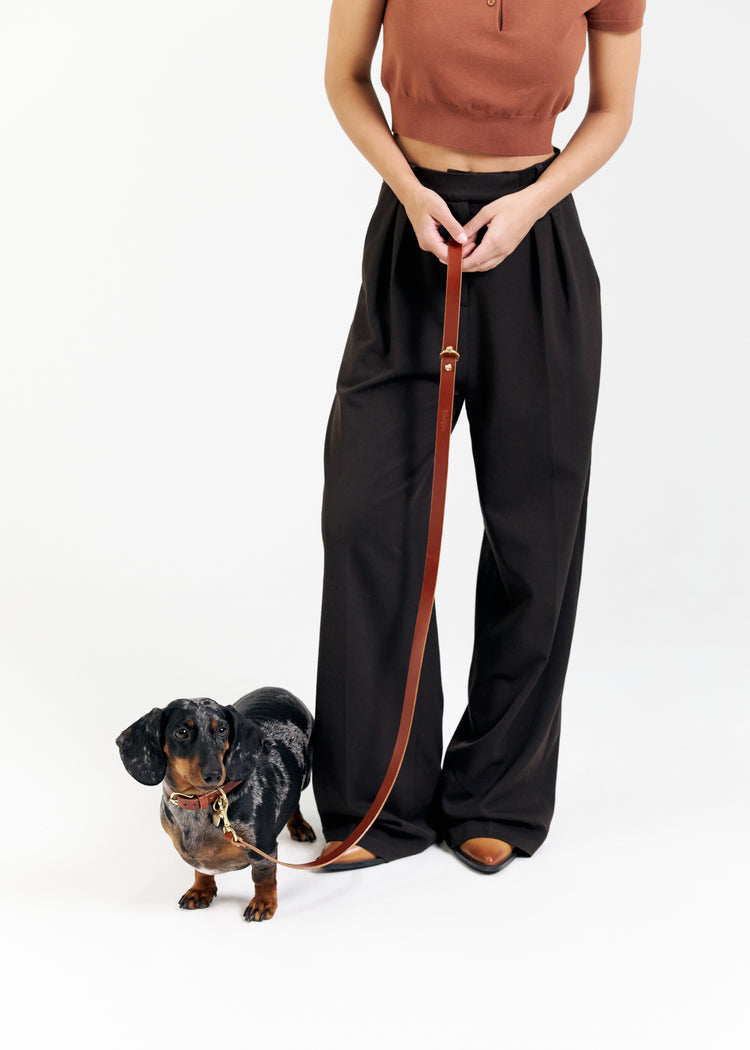 Brown Leather Dog Collar and Leash Set - Vero Classic