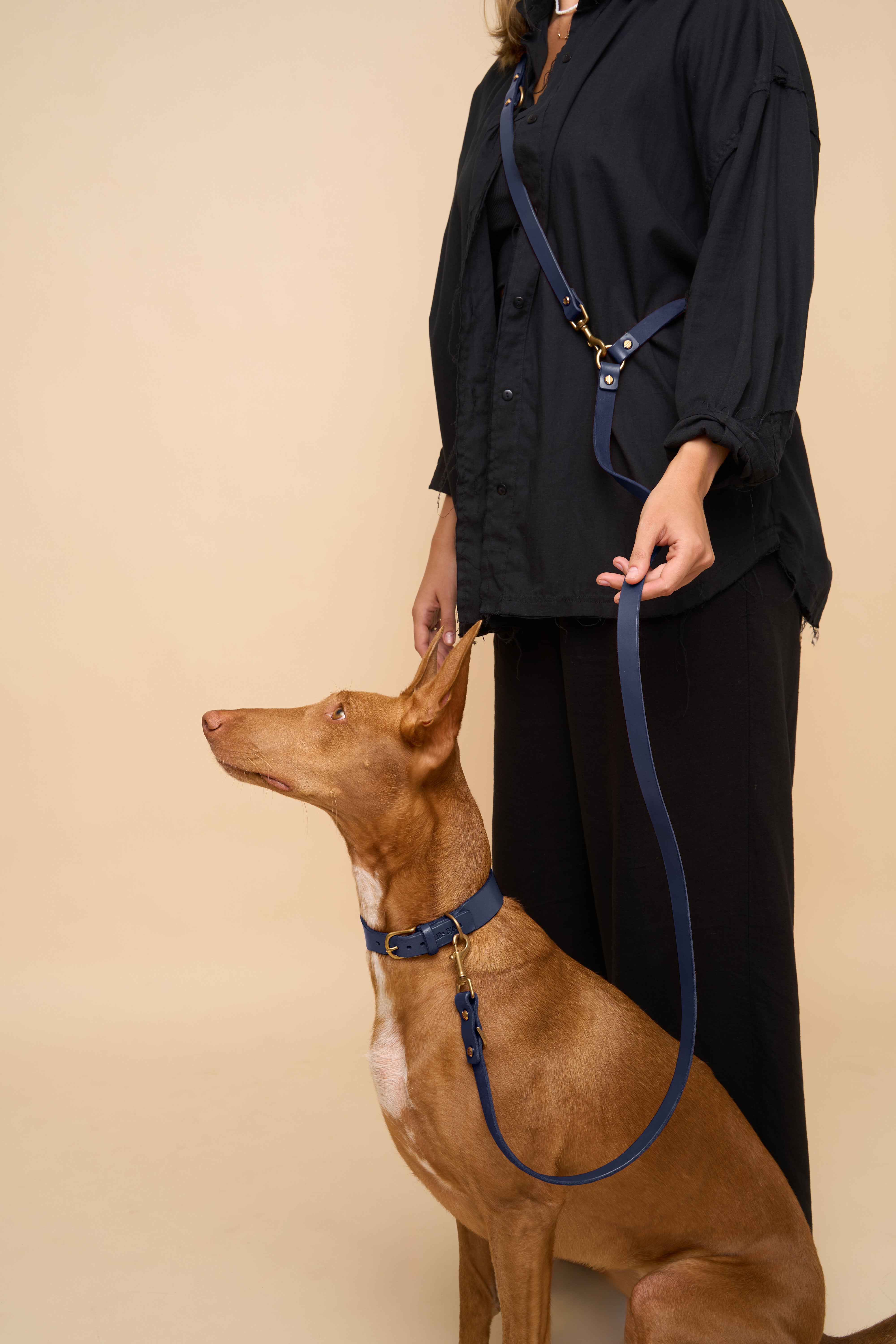 Vero Classic Collar & Omni Leash in Blue