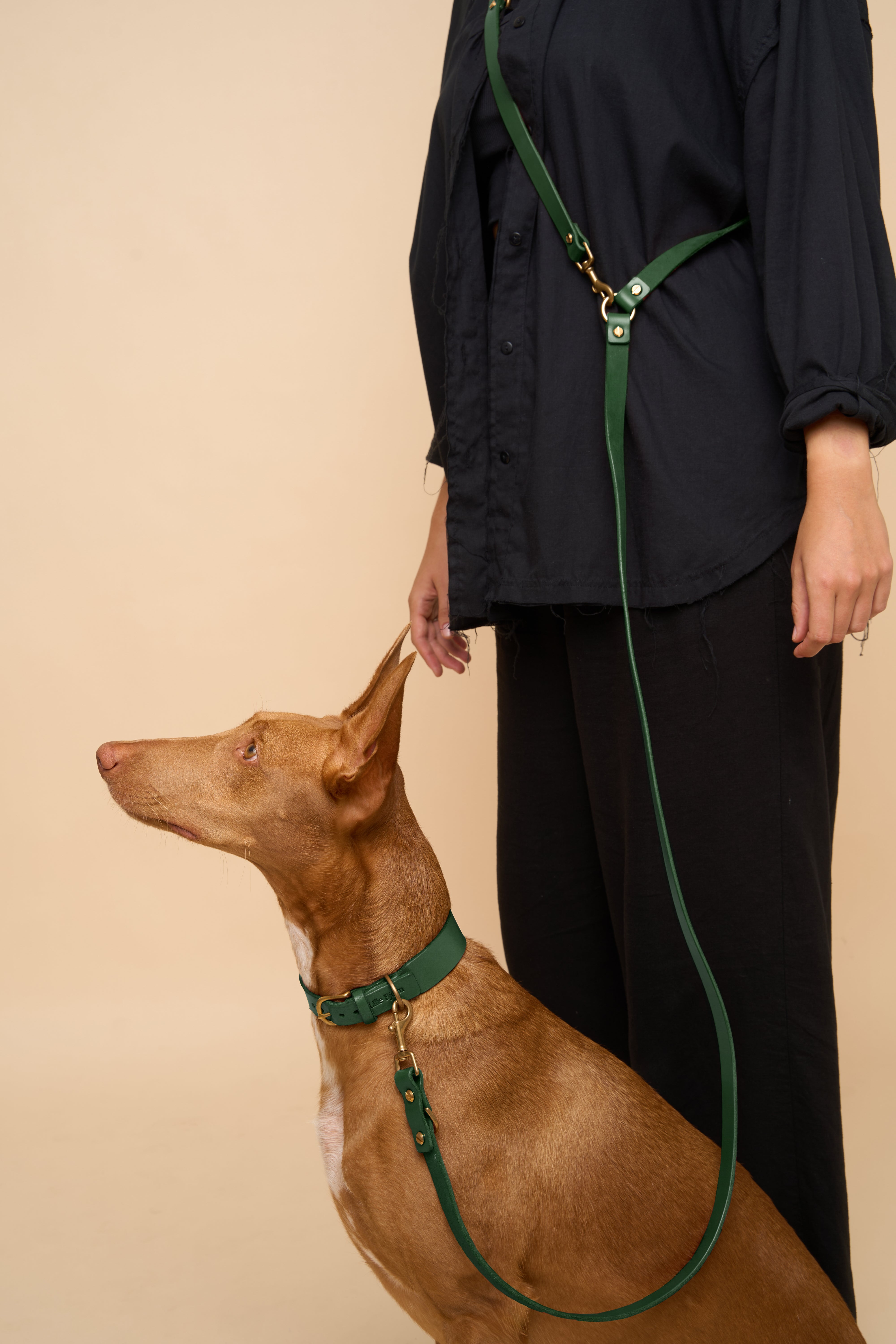 Vero Classic Green Leather Dog Collar with matching Omni Green Leather Dog Leash, designed for secure walking with premium Italian leather craftsmanship