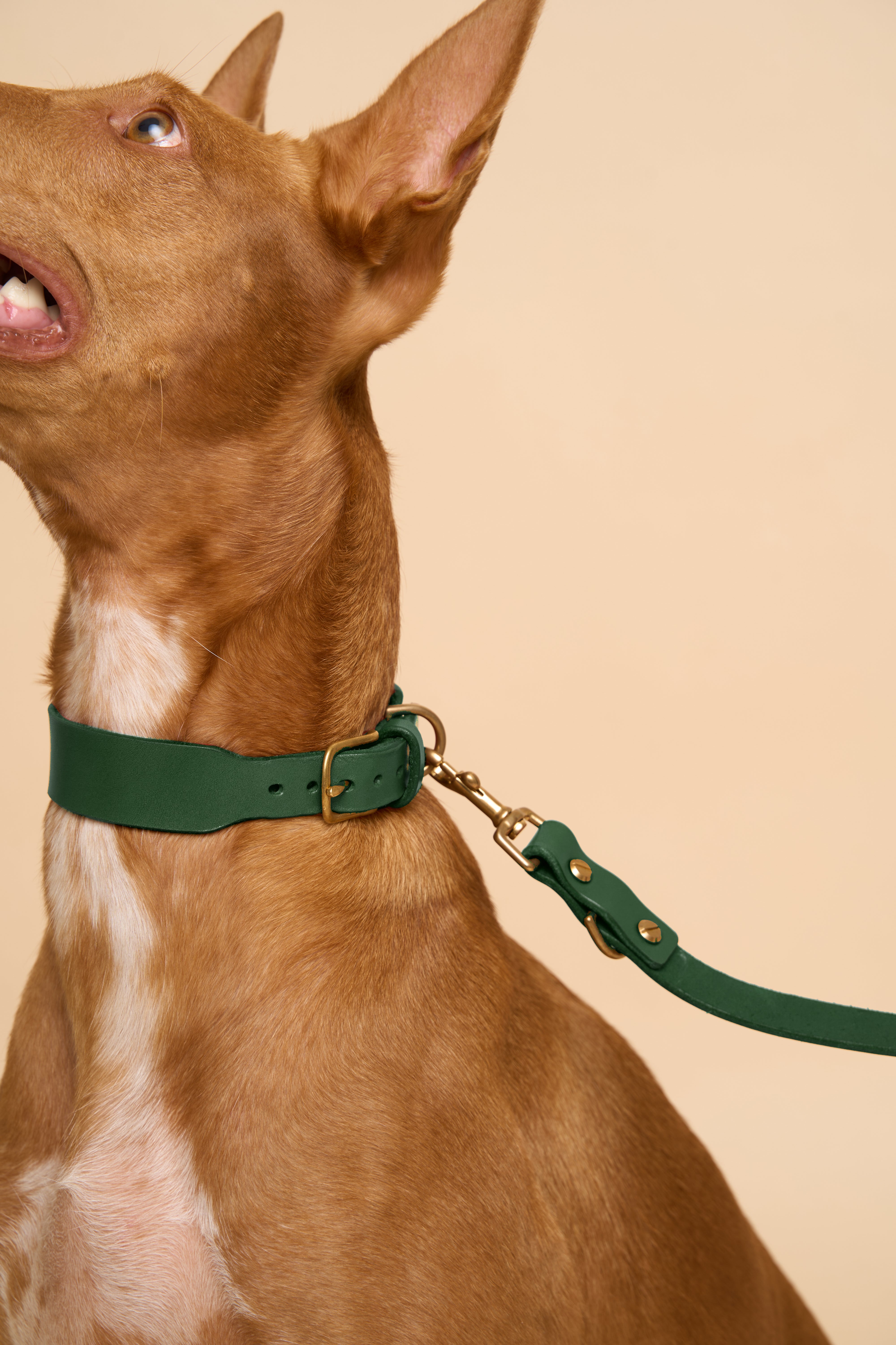 Vero Classic Green Leather Dog Collar with matching Omni Green Leather Dog Leash, designed for secure walking, crafted from premium Italian leather