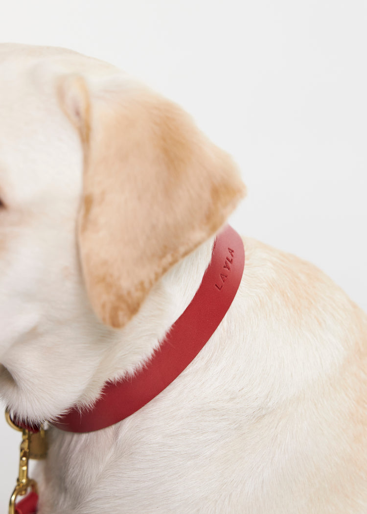 Red Leather Dog Collar - Vero Classic