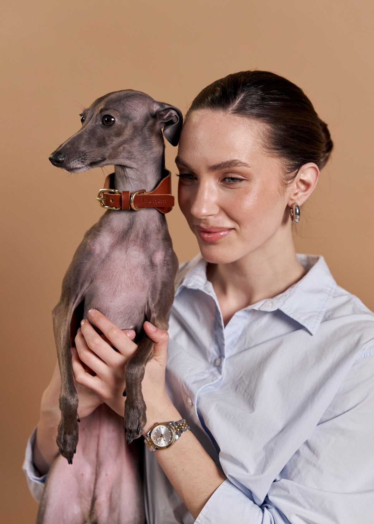 Brown Vero Wide leather dog collar on a grey sighthound held by its owner