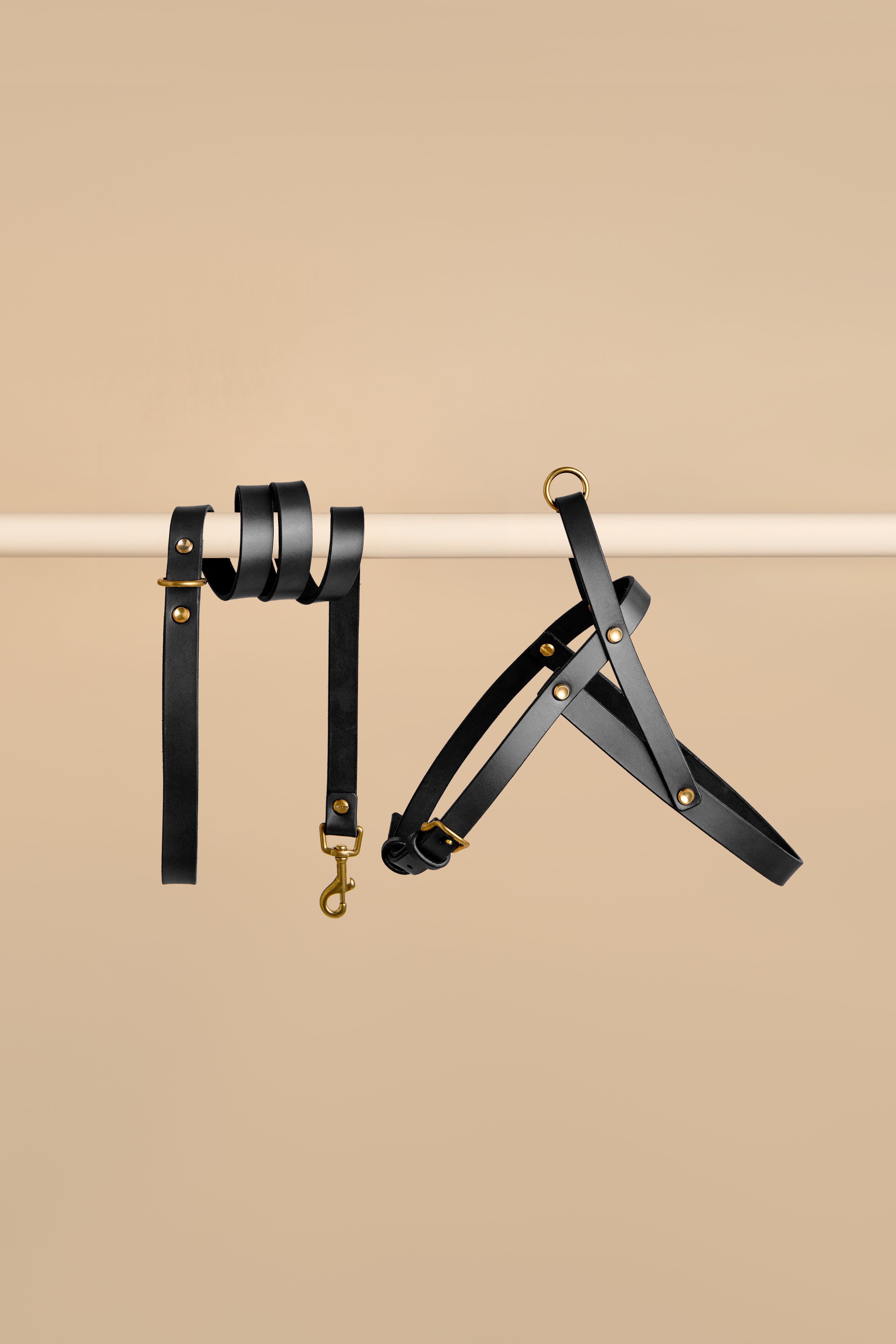 Vero Harness & Classic Leash in Black