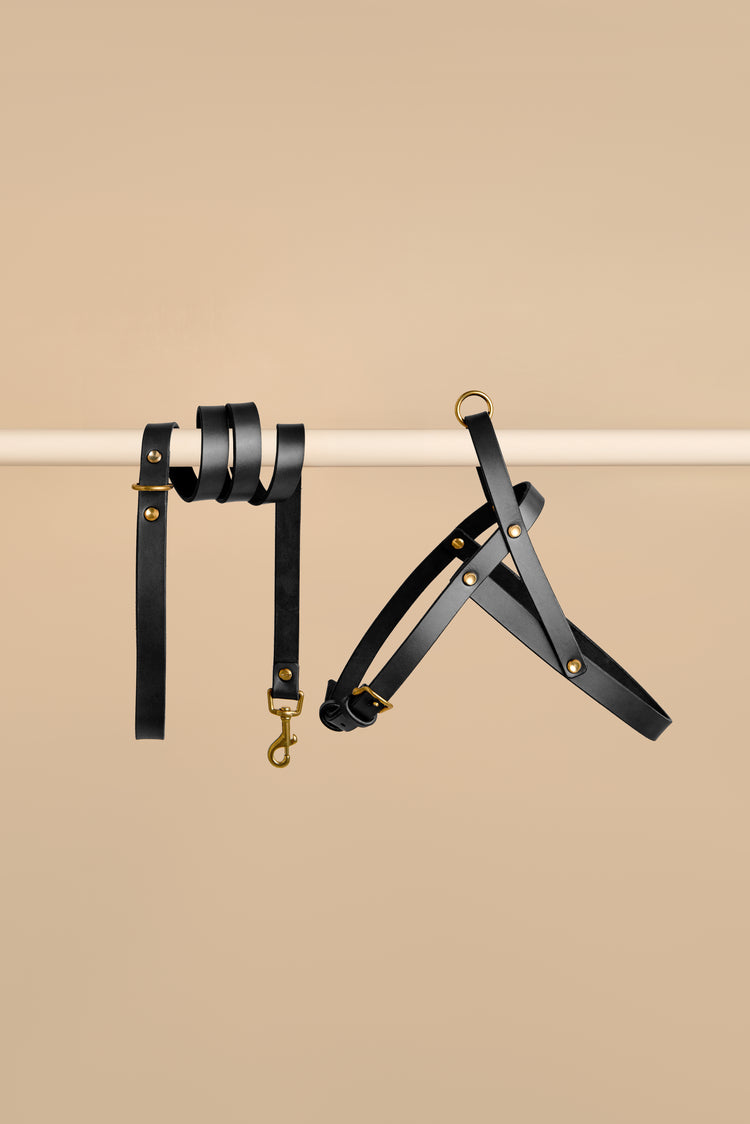 Black Leather Dog Harness and Leash Set - Vero