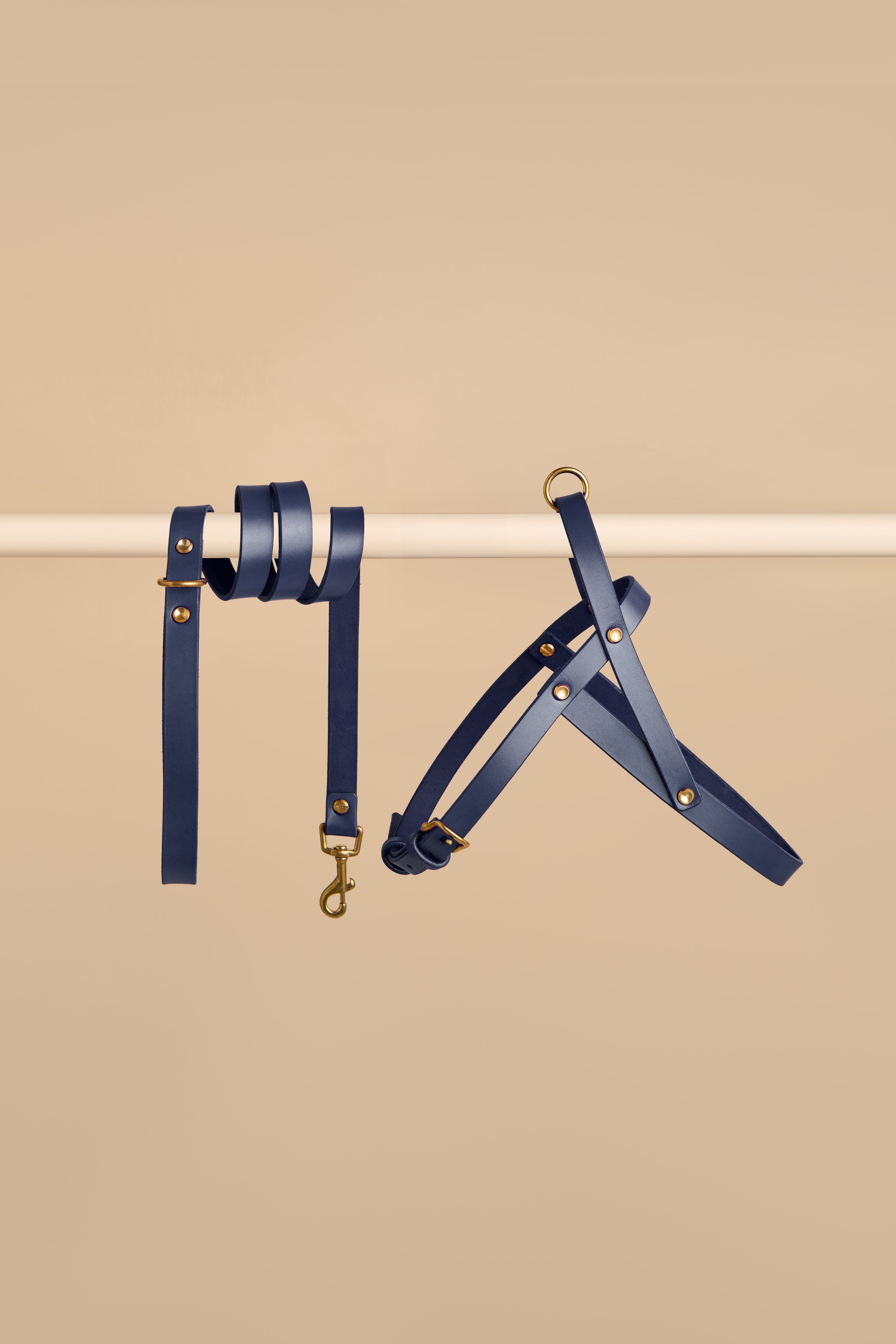 Vero Harness & Classic Leash in Blue