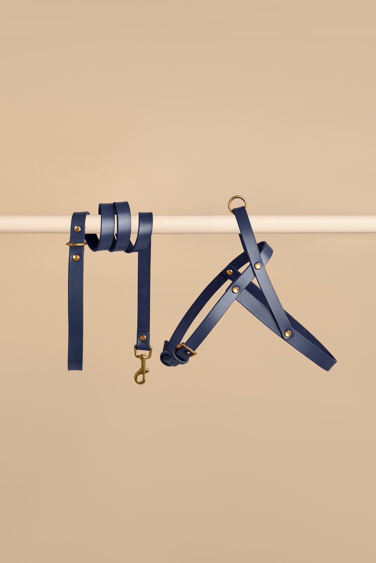 Blue Leather Dog Harness and Leash Set - Vero