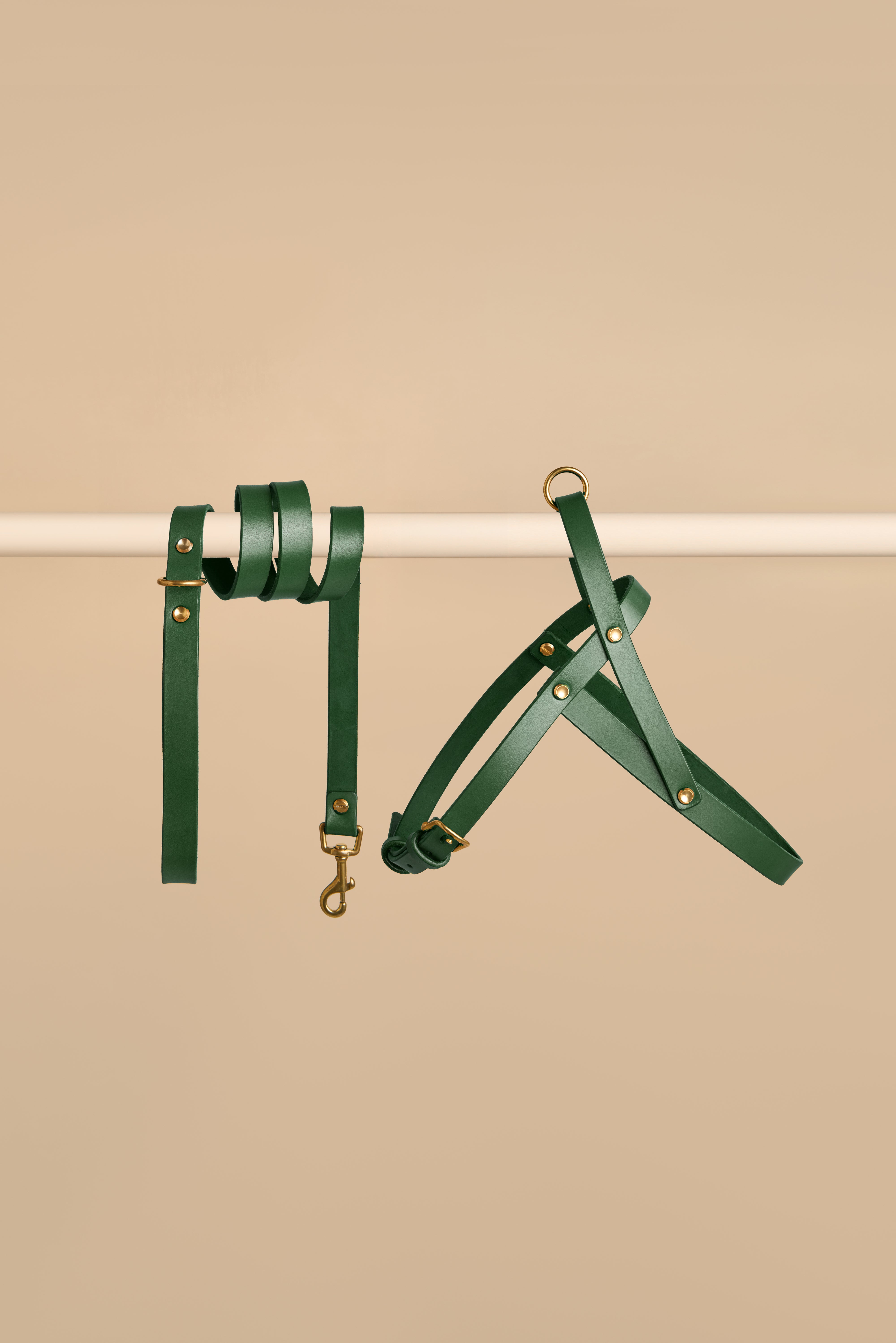 Vero Harness & Classic Leash in Green