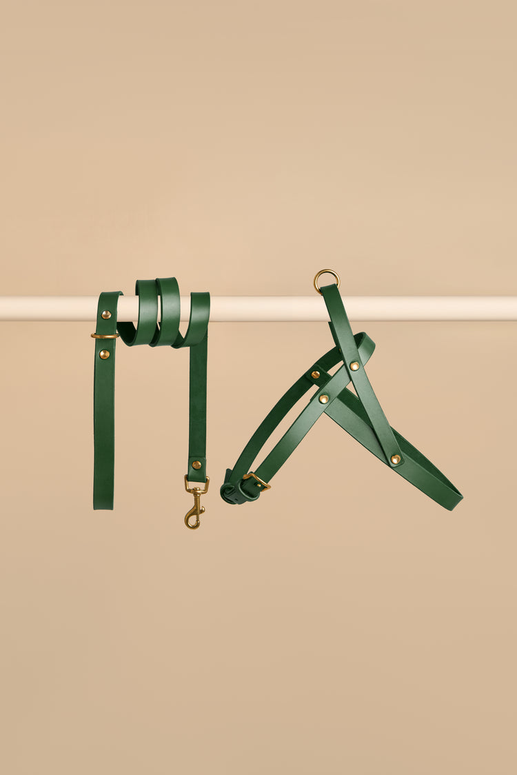 Green Leather Dog Harness and Leash Set - Vero