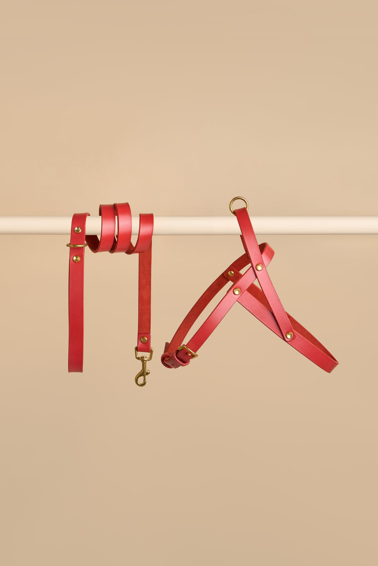 Red Leather Dog Harness and Leash Set - Vero