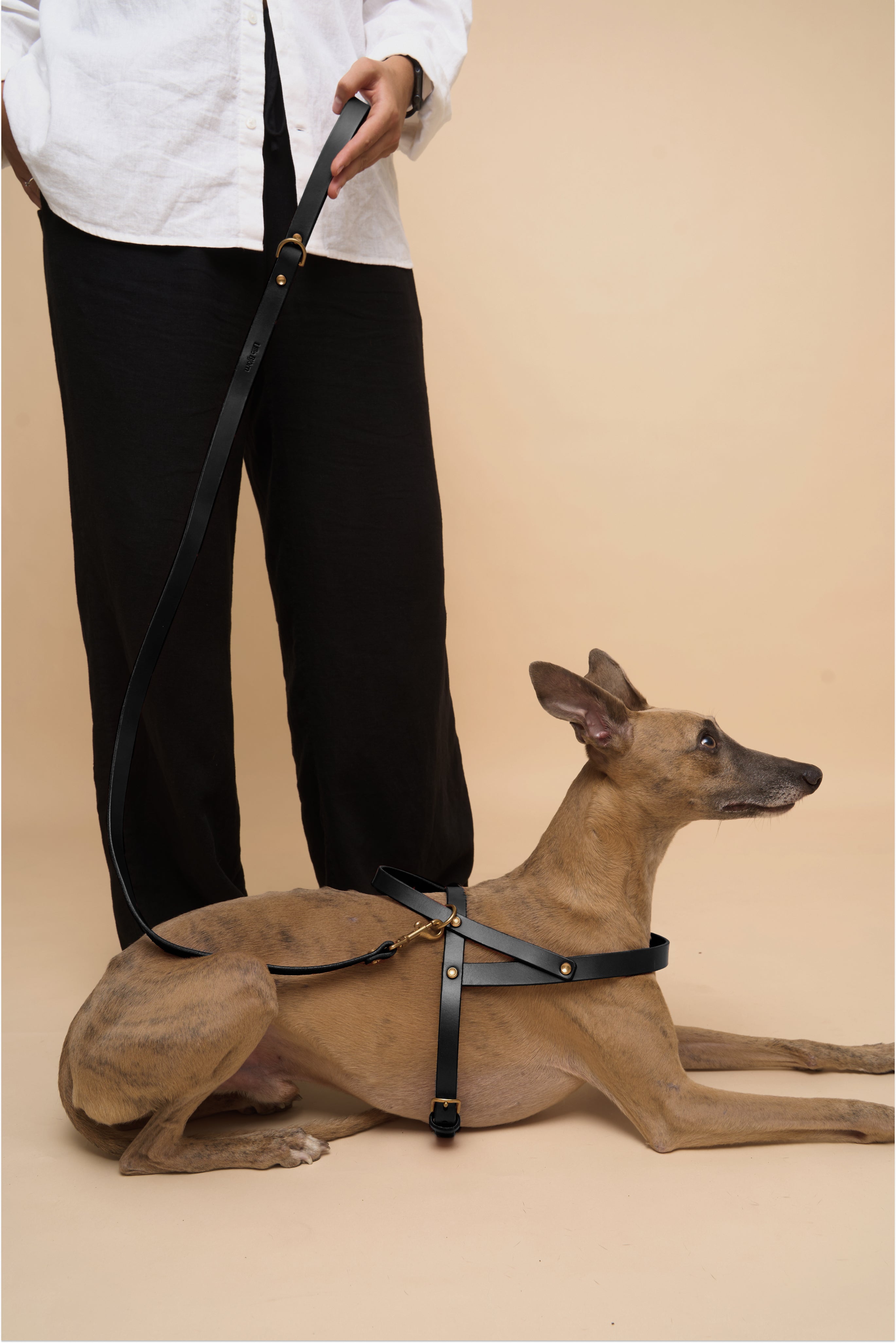 vero-harness-classic-leash-usage-view-black.jpg