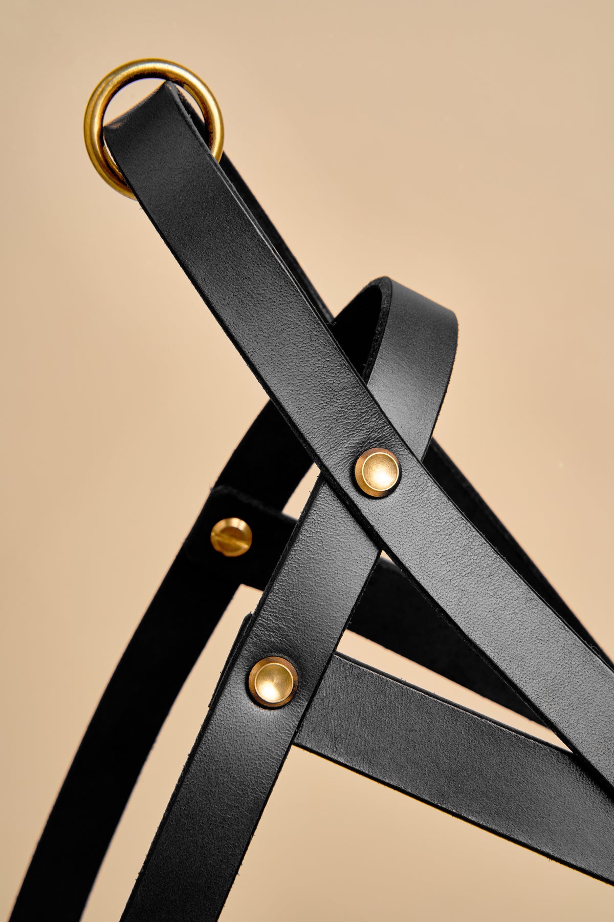 Close-up of black Vero leather dog harness straps with brass D-ring and rivets