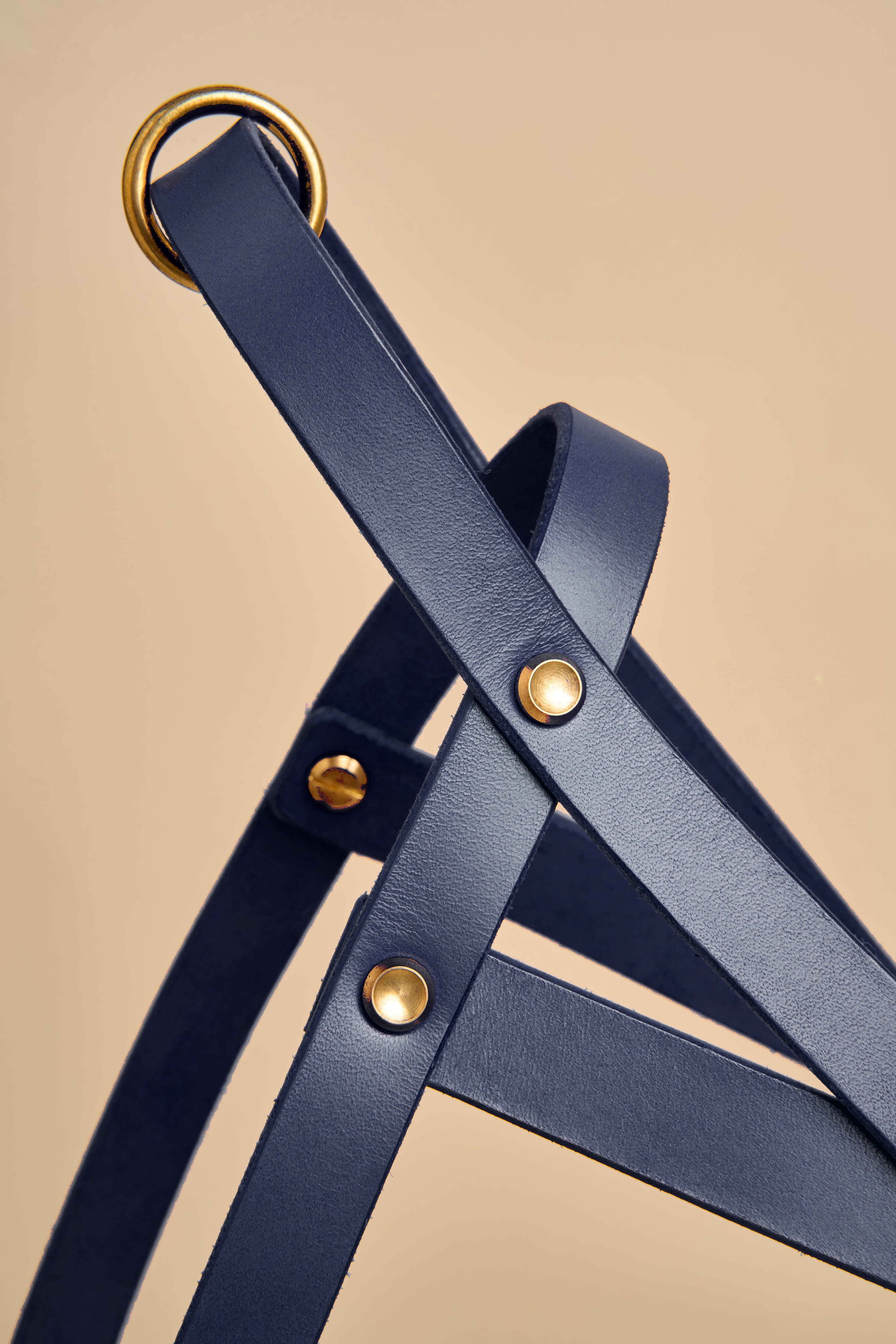 Close-up of Vero Blue Leather Dog Harness, showing Italian leather craftsmanship and brass hardware for strong and stylish design