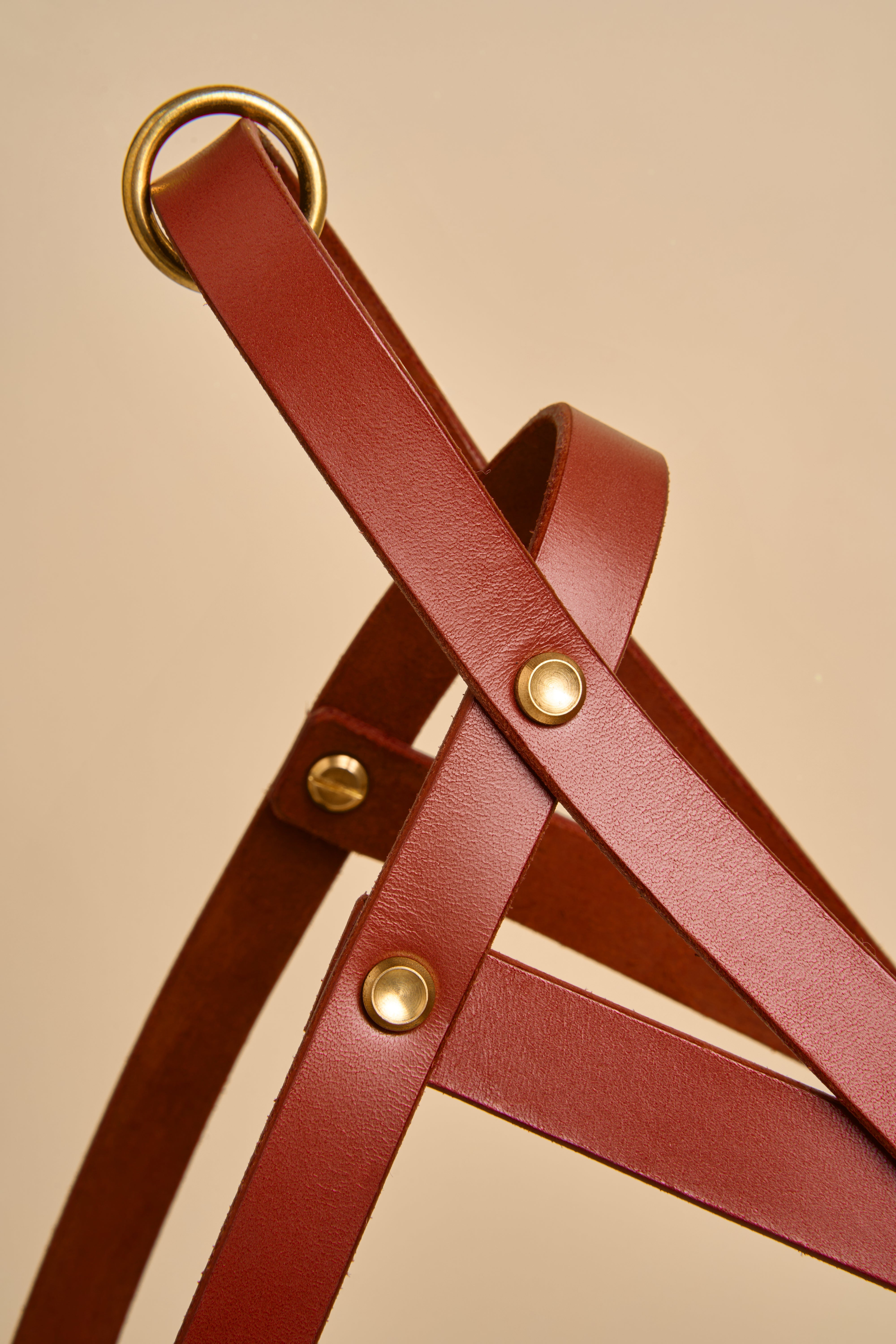 Close-up of Vero Cognac Leather Dog Harness, featuring high-quality Italian leather and brass hardware for a stylish and strong design