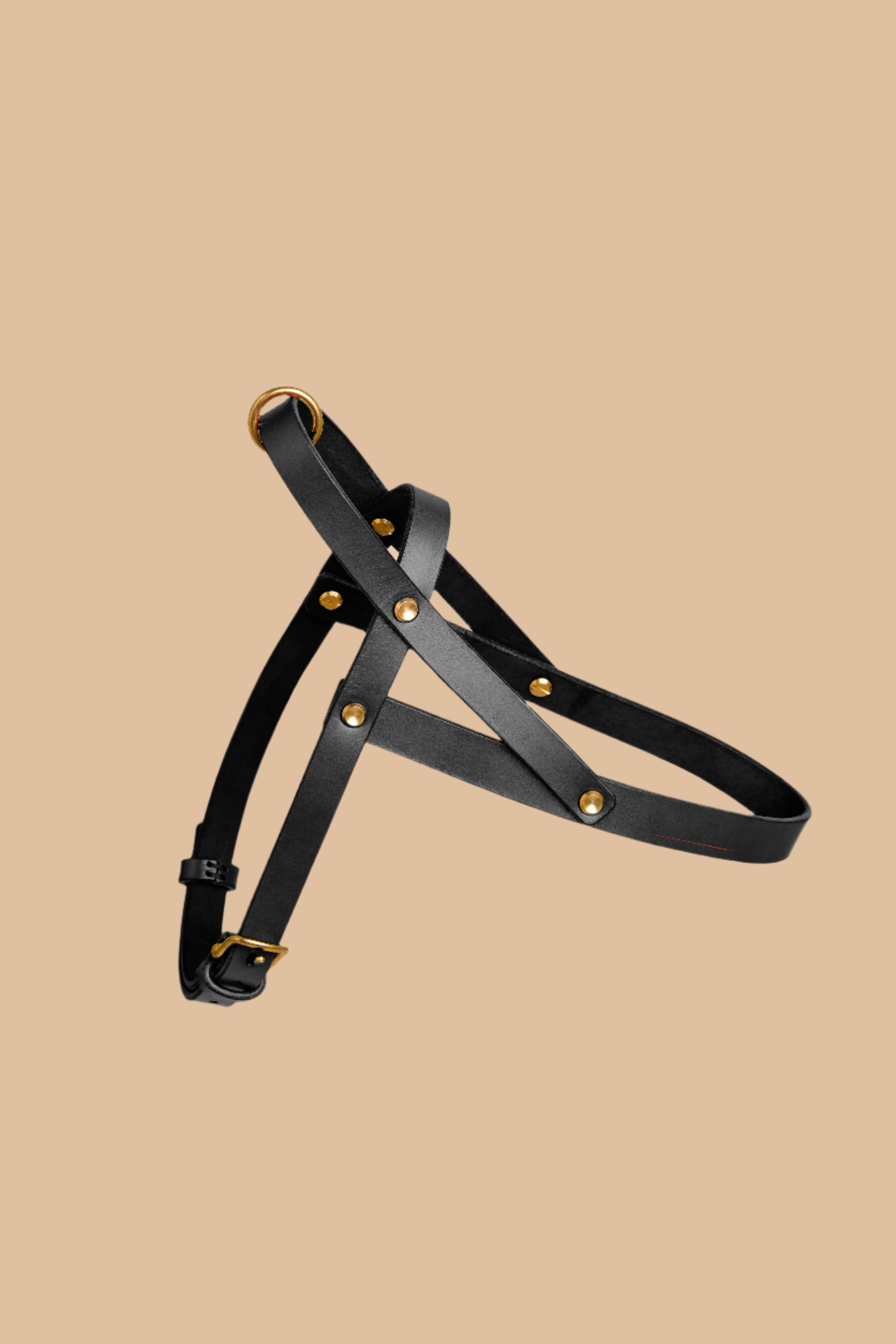 Vero Dog Harness in Black