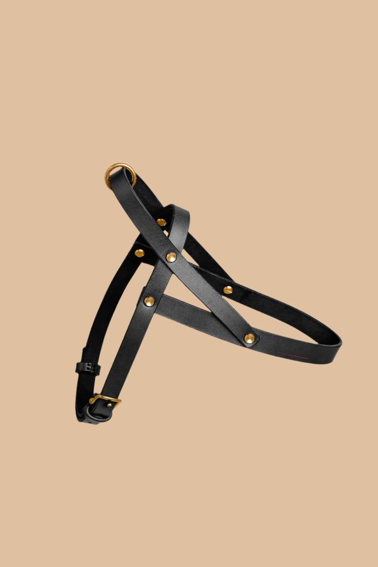 Vero Black Leather Dog Harness