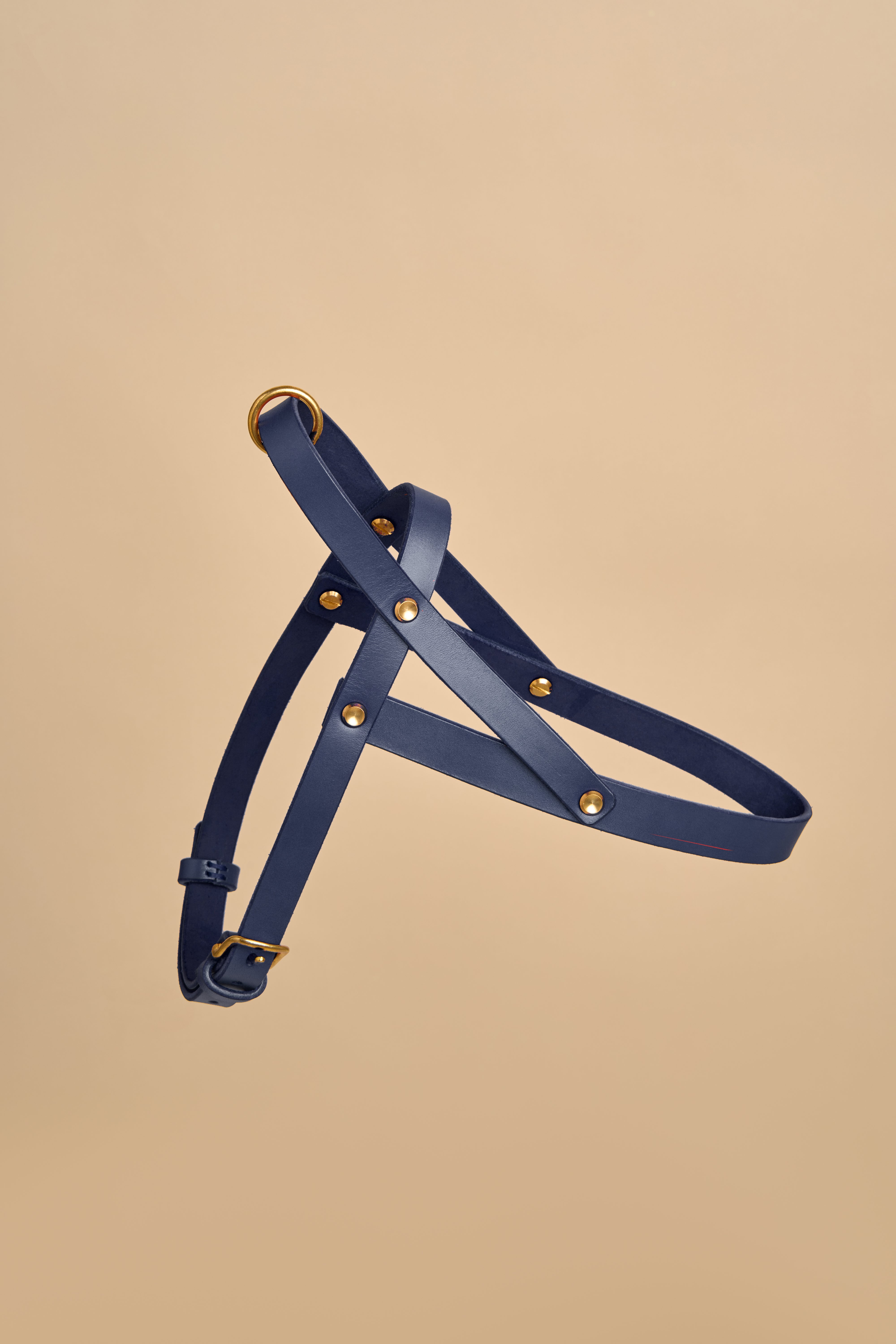 Vero Blue Leather Dog Harness made from high-quality Italian leather, designed with adjustable straps and strong brass fittings, offering both style and comfort for your dog's daily walks