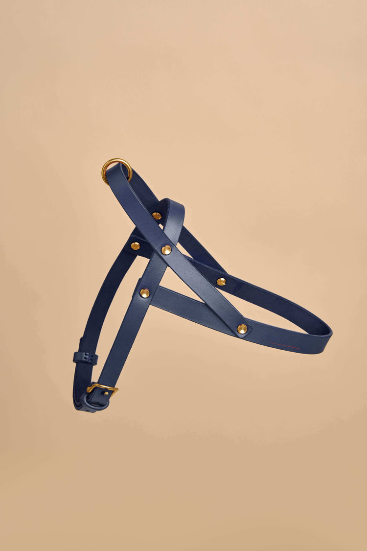 Vero Blue Leather Dog Harness