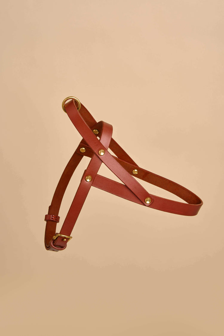 Vero Brown Leather Dog Harness